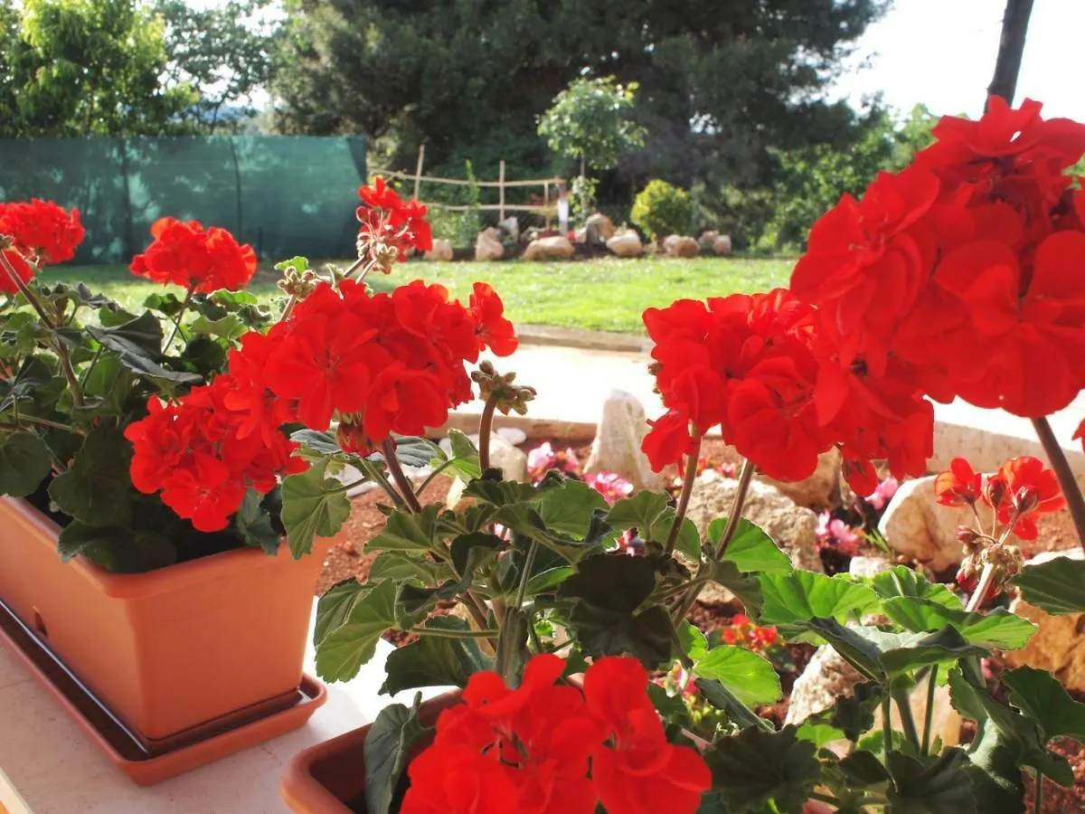 House Anna Apartment Porec Croatia